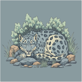 Sleeping Snow Leopard in Alpine Grass Posters and Art