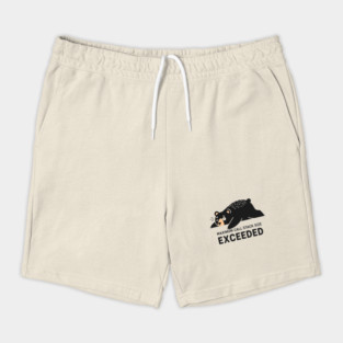 Max Call Stack Exceeded - Exhausted Bear Programmer Shorts