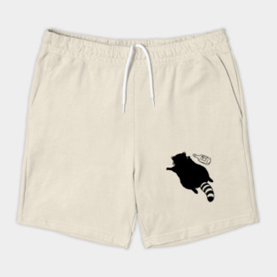 Funny passed out trashed raccoon in full sploot next to an empty bottle. Drunk raccoon passed out face down, viral meme Shorts