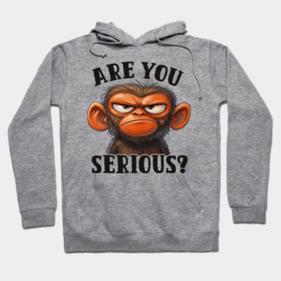 Are You Serious? - Angry Monkey Sarcastic Humor Hoodie