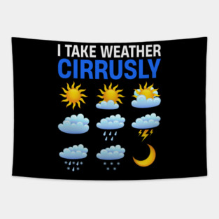 S52 Meteorology Meteorologist Meteorological Weather Forecast Forecasting (51) Tapestry