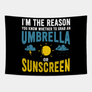 S52 Meteorology Meteorologist Meteorological Weather Forecast Forecasting (53) Tapestry