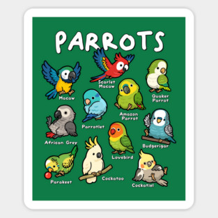 Parrots of the World Magnet