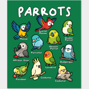 Parrots of the World Posters and Art