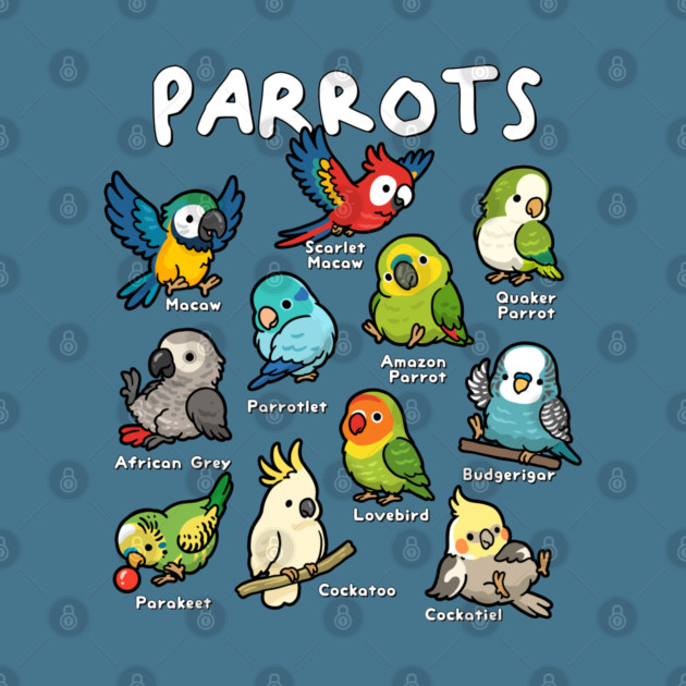 Parrots of the World by GoshWow®