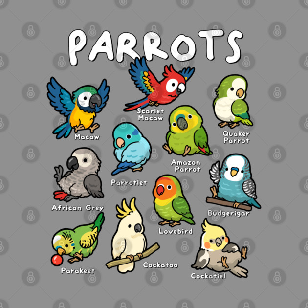 Parrots of the World by GoshWow®