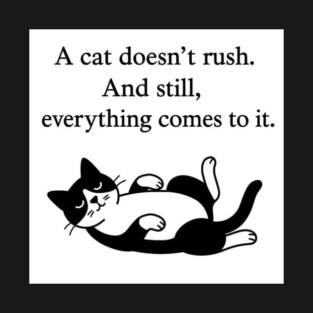 A Cat doesn't rush, and still, everything comes to it! T-Shirt