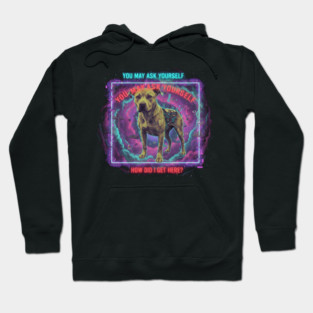 You-May-Ask-Yourself Hoodie