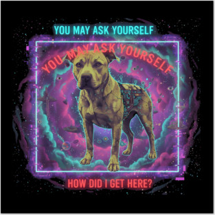 You-May-Ask-Yourself Posters and Art
