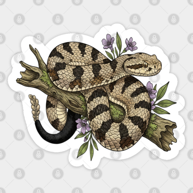 Timber Rattlesnake Illustration Sticker by BirdsnStuff