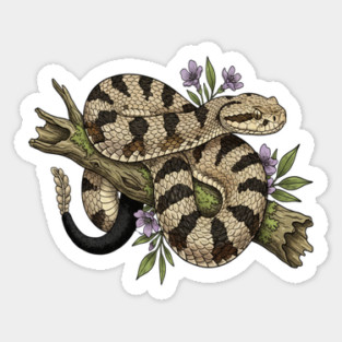Timber Rattlesnake Illustration Magnet