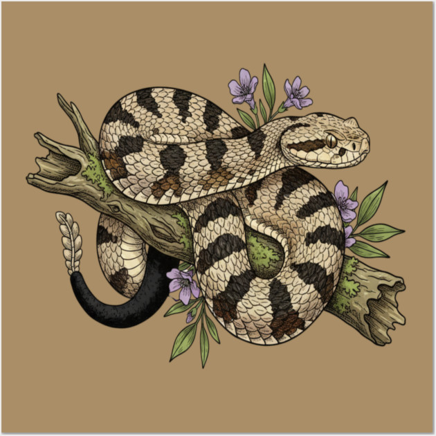 Timber Rattlesnake Illustration Wall Art by BirdsnStuff