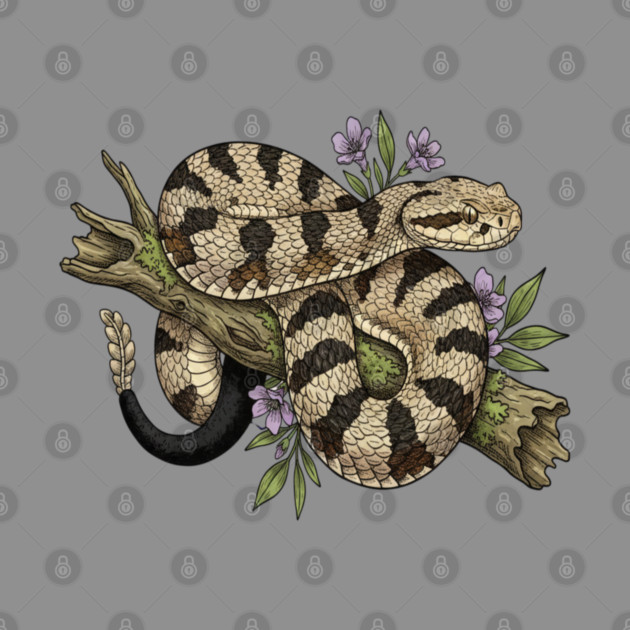 Timber Rattlesnake Illustration by BirdsnStuff