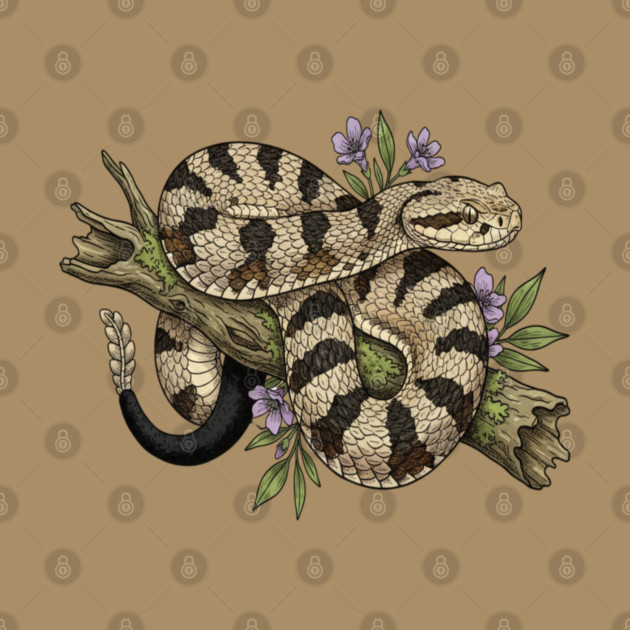 Timber Rattlesnake Illustration by BirdsnStuff