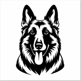 Belgian Shepherd Dog Posters and Art