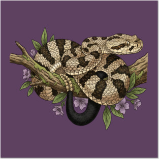 Timber Rattlesnake With Woodland Blooms Posters and Art