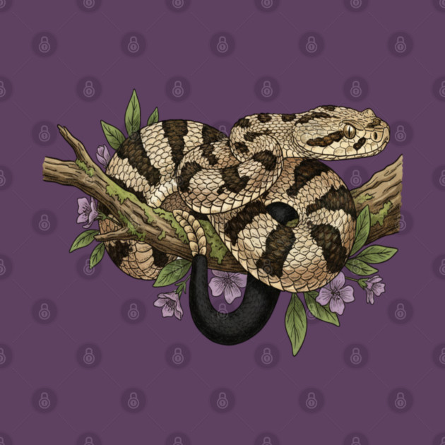 Timber Rattlesnake With Woodland Blooms by BirdsnStuff