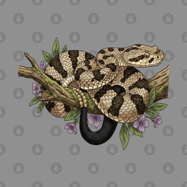 Timber Rattlesnake With Woodland Blooms by BirdsnStuff