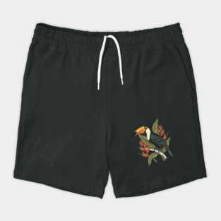 Toco Toucan Tropical Illustration Shorts