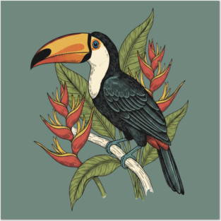 Toco Toucan Tropical Illustration Posters and Art