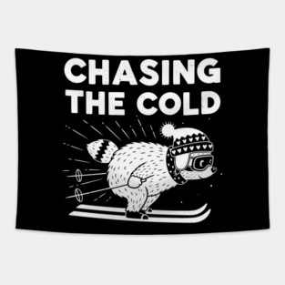Chasing the Cold Tapestry