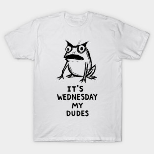 It Is Wednesday My Dudes Frog T-Shirt - Funny Meme Graphic Tee T-Shirt