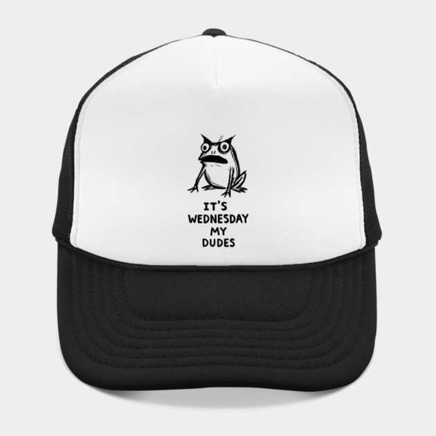 It Is Wednesday My Dudes Frog T-Shirt - Funny Meme Graphic Tee by TurnEffect