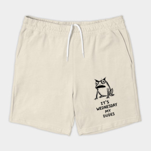 It Is Wednesday My Dudes Frog T-Shirt - Funny Meme Graphic Tee Shorts