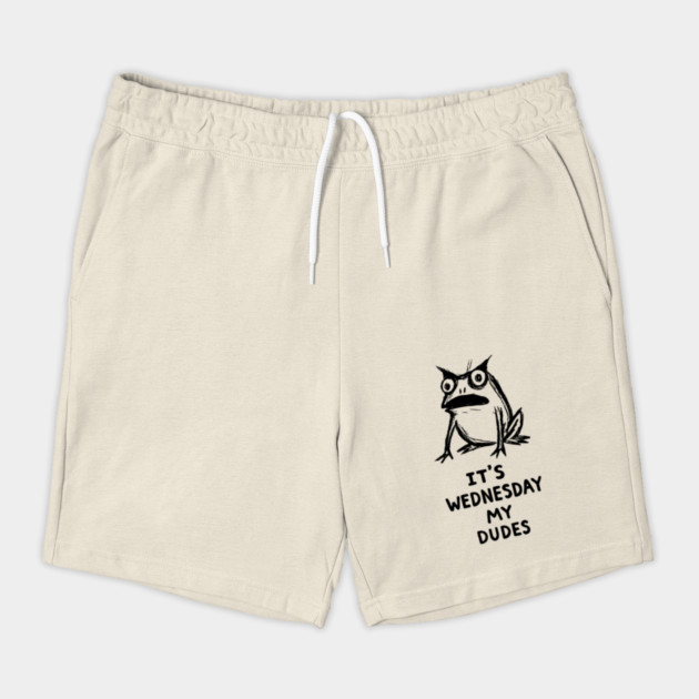 It Is Wednesday My Dudes Frog T-Shirt - Funny Meme Graphic Tee by TurnEffect