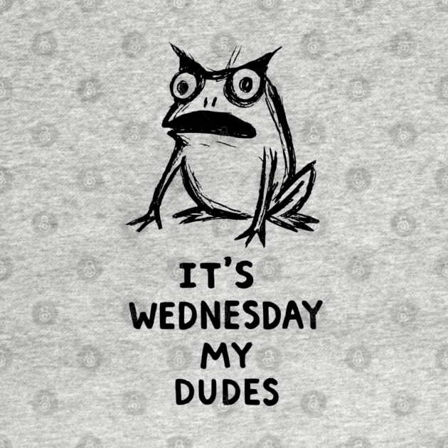 It Is Wednesday My Dudes Frog T-Shirt - Funny Meme Graphic Tee by TurnEffect