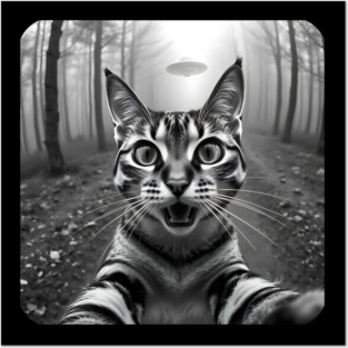Cat Selfie with Alien, Cat Lovers Gifts for Men, Women & Kids Posters and Art
