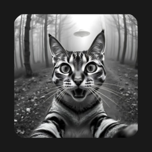 Cat Selfie with Alien, Cat Lovers Gifts for Men, Women & Kids T-Shirt