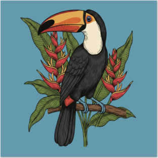 Toco Toucan With Heliconia Blooms Posters and Art