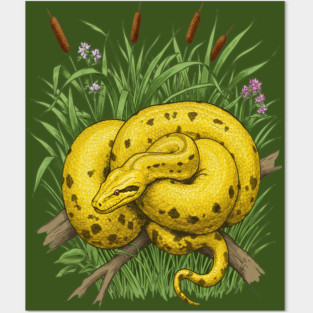 Yellow Anaconda Posters and Art