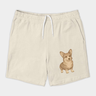 Cute Vintage Style Corgi Art Shorts