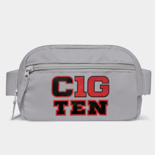 Coach Cignetti Bag