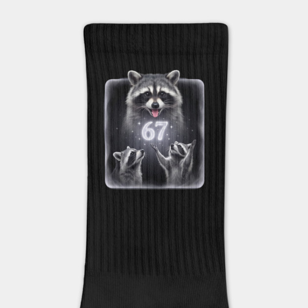 67 Raccoon Birthday Gift for Animal Lovers by ArtistTee ⭐⭐⭐⭐⭐