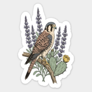 American Kestrel Desert Sage Vintage Art Sticker