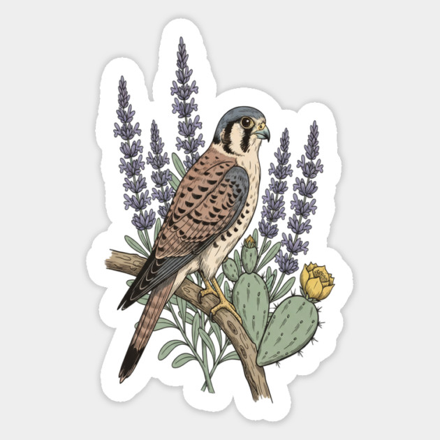 American Kestrel Desert Sage Vintage Art Magnet by BirdsnStuff