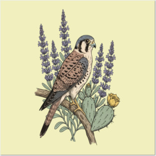 American Kestrel Desert Sage Vintage Art Posters and Art