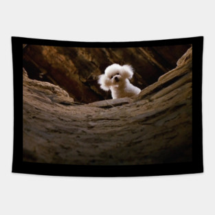 Vintage Silence Of The Lambs - Cute Poodle Dog Tapestry