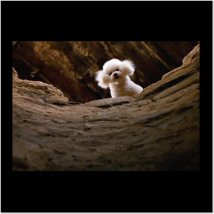 Vintage Silence Of The Lambs - Cute Poodle Dog Posters and Art