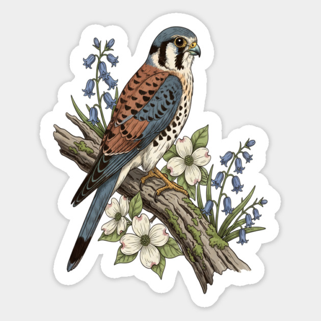 American Kestrel with Bluebells and Dogwood Botanicals Magnet by BirdsnStuff