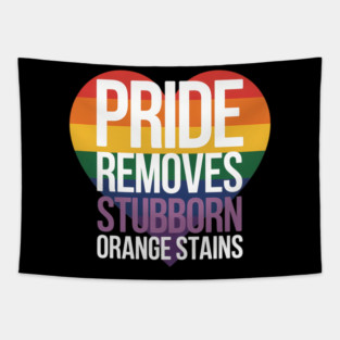 Funny Pride Removes Nasty Orange Stains LGBT Tapestry