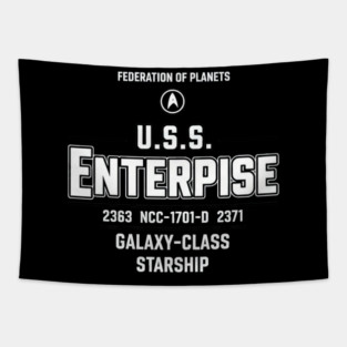 U.S.S. Enterprise-D Tapestry