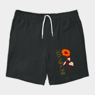 Illuminate Shorts