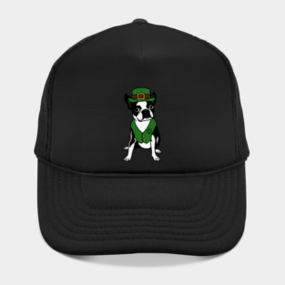 Leprechaun Boston Terrier St Patrick’s Day Dog Hat