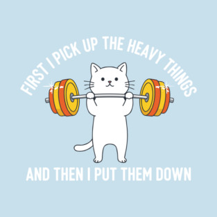 I Pick Up Heavy Things... Then I Put Them Down T-Shirt