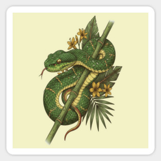 Bamboo Pit Viper Rainforest Vintage Art Magnet