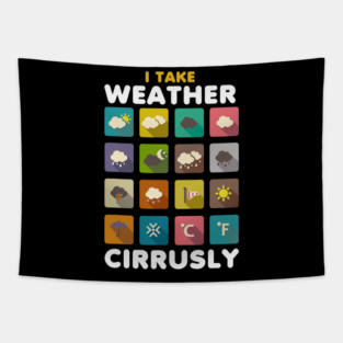 S52 Meteorology Meteorologist Meteorological Weather Forecast Forecasting (57) Tapestry